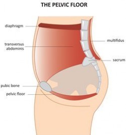 PFM-with-diaphram