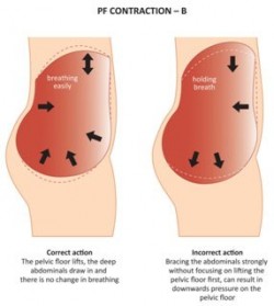 pf-contraction