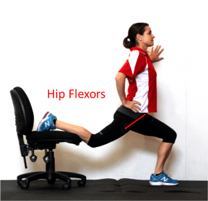 hip flexor labelled