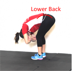 lower back stretch labelled