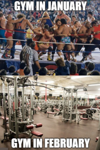 gym in jan gym in jan